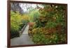 Fall Colors, Crystal Spring Garden, Portland, Oregon-Craig Tuttle-Framed Photographic Print