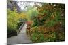 Fall Colors, Crystal Spring Garden, Portland, Oregon-Craig Tuttle-Mounted Photographic Print