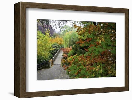 Fall Colors, Crystal Spring Garden, Portland, Oregon-Craig Tuttle-Framed Photographic Print