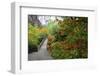 Fall Colors, Crystal Spring Garden, Portland, Oregon-Craig Tuttle-Framed Photographic Print