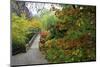Fall Colors, Crystal Spring Garden, Portland, Oregon-Craig Tuttle-Mounted Photographic Print