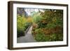 Fall Colors, Crystal Spring Garden, Portland, Oregon-Craig Tuttle-Framed Photographic Print