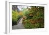 Fall Colors, Crystal Spring Garden, Portland, Oregon-Craig Tuttle-Framed Photographic Print