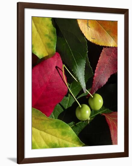 Fall Colors I-Monika Burkhart-Framed Photographic Print