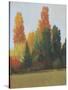 Fall Colors I-Tim OToole-Stretched Canvas