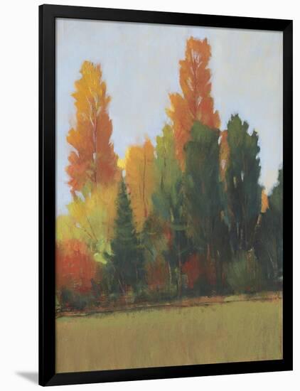 Fall Colors I-Tim OToole-Framed Art Print