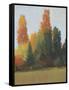 Fall Colors I-Tim OToole-Framed Stretched Canvas