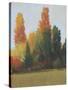 Fall Colors I-Tim OToole-Stretched Canvas