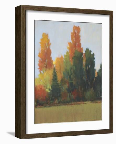 Fall Colors I-Tim OToole-Framed Art Print