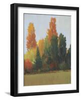 Fall Colors I-Tim OToole-Framed Art Print