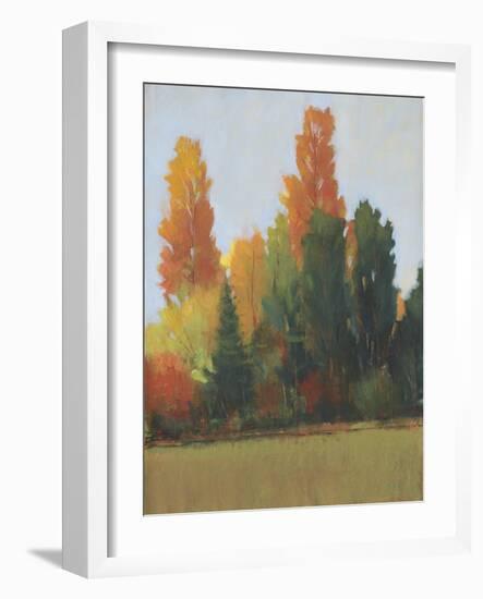 Fall Colors I-Tim OToole-Framed Art Print