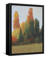 Fall Colors I-Tim OToole-Framed Stretched Canvas