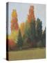 Fall Colors I-Tim OToole-Stretched Canvas