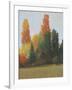 Fall Colors I-Tim OToole-Framed Art Print