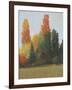 Fall Colors I-Tim OToole-Framed Art Print
