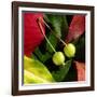 Fall Colors II-Monika Burkhart-Framed Photographic Print