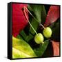 Fall Colors II-Monika Burkhart-Framed Stretched Canvas