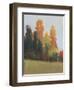 Fall Colors II-Tim OToole-Framed Art Print