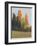 Fall Colors II-Tim OToole-Framed Art Print