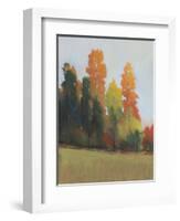 Fall Colors II-Tim OToole-Framed Art Print