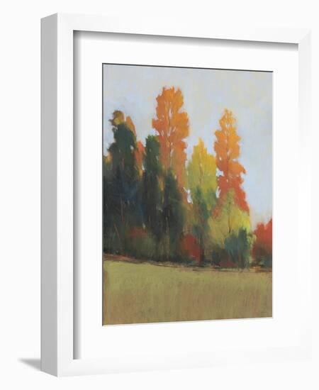 Fall Colors II-Tim OToole-Framed Art Print