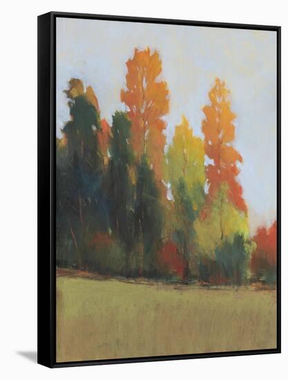 Fall Colors II-Tim OToole-Framed Stretched Canvas