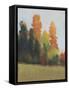 Fall Colors II-Tim OToole-Framed Stretched Canvas