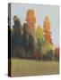 Fall Colors II-Tim OToole-Stretched Canvas