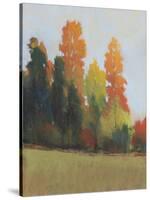 Fall Colors II-Tim OToole-Stretched Canvas