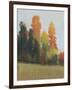 Fall Colors II-Tim OToole-Framed Art Print