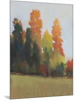 Fall Colors II-Tim OToole-Mounted Art Print