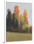 Fall Colors II-Tim OToole-Framed Art Print