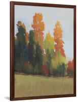 Fall Colors II-Tim OToole-Framed Art Print