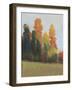 Fall Colors II-Tim OToole-Framed Art Print