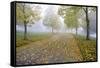 Fall Colors in Morning Fog, Happy Valley, Oregon-Craig Tuttle-Framed Stretched Canvas