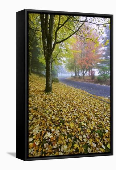 Fall Colors in Morning Fog, Happy Valley, Oregon-Craig Tuttle-Framed Stretched Canvas