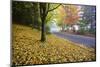 Fall Colors in Morning Fog, Happy Valley, Oregon-Craig Tuttle-Mounted Photographic Print