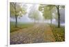 Fall Colors in Morning Fog, Happy Valley, Oregon-Craig Tuttle-Framed Photographic Print