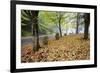 Fall Colors in Morning Fog, Happy Valley, Oregon-Craig Tuttle-Framed Photographic Print