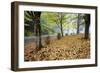 Fall Colors in Morning Fog, Happy Valley, Oregon-Craig Tuttle-Framed Photographic Print