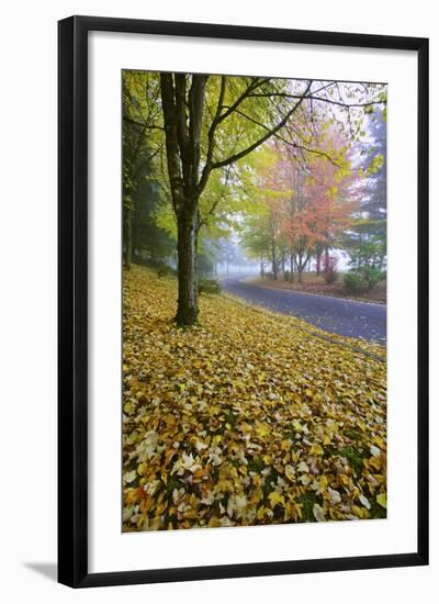 Fall Colors in Morning Fog, Happy Valley, Oregon-Craig Tuttle-Framed Photographic Print