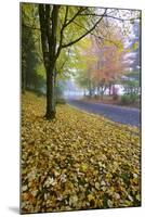 Fall Colors in Morning Fog, Happy Valley, Oregon-Craig Tuttle-Mounted Photographic Print