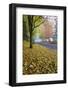 Fall Colors in Morning Fog, Happy Valley, Oregon-Craig Tuttle-Framed Photographic Print