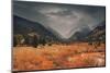 Fall colors in rain clouds-Belinda Shi-Mounted Photographic Print