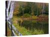 Fall Colors in the Galton Pond, Gralton, Vermont, USA-Joe Restuccia III-Stretched Canvas