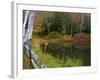 Fall Colors in the Galton Pond, Gralton, Vermont, USA-Joe Restuccia III-Framed Photographic Print