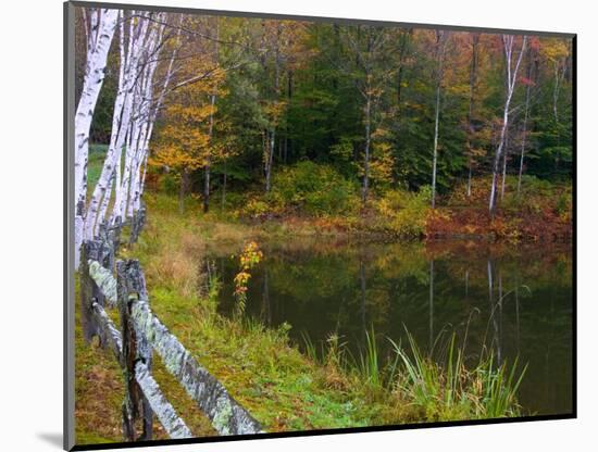 Fall Colors in the Galton Pond, Gralton, Vermont, USA-Joe Restuccia III-Mounted Photographic Print