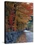 Fall Colors in the White Mountains, New Hampshire, USA-Jerry & Marcy Monkman-Stretched Canvas