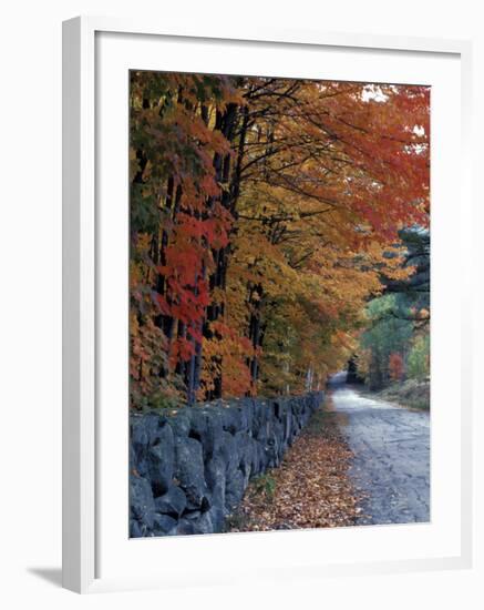 Fall Colors in the White Mountains, New Hampshire, USA-Jerry & Marcy Monkman-Framed Photographic Print