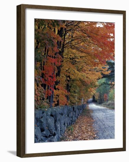 Fall Colors in the White Mountains, New Hampshire, USA-Jerry & Marcy Monkman-Framed Photographic Print